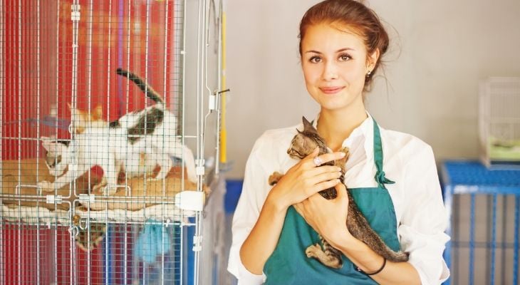 Cats in cage